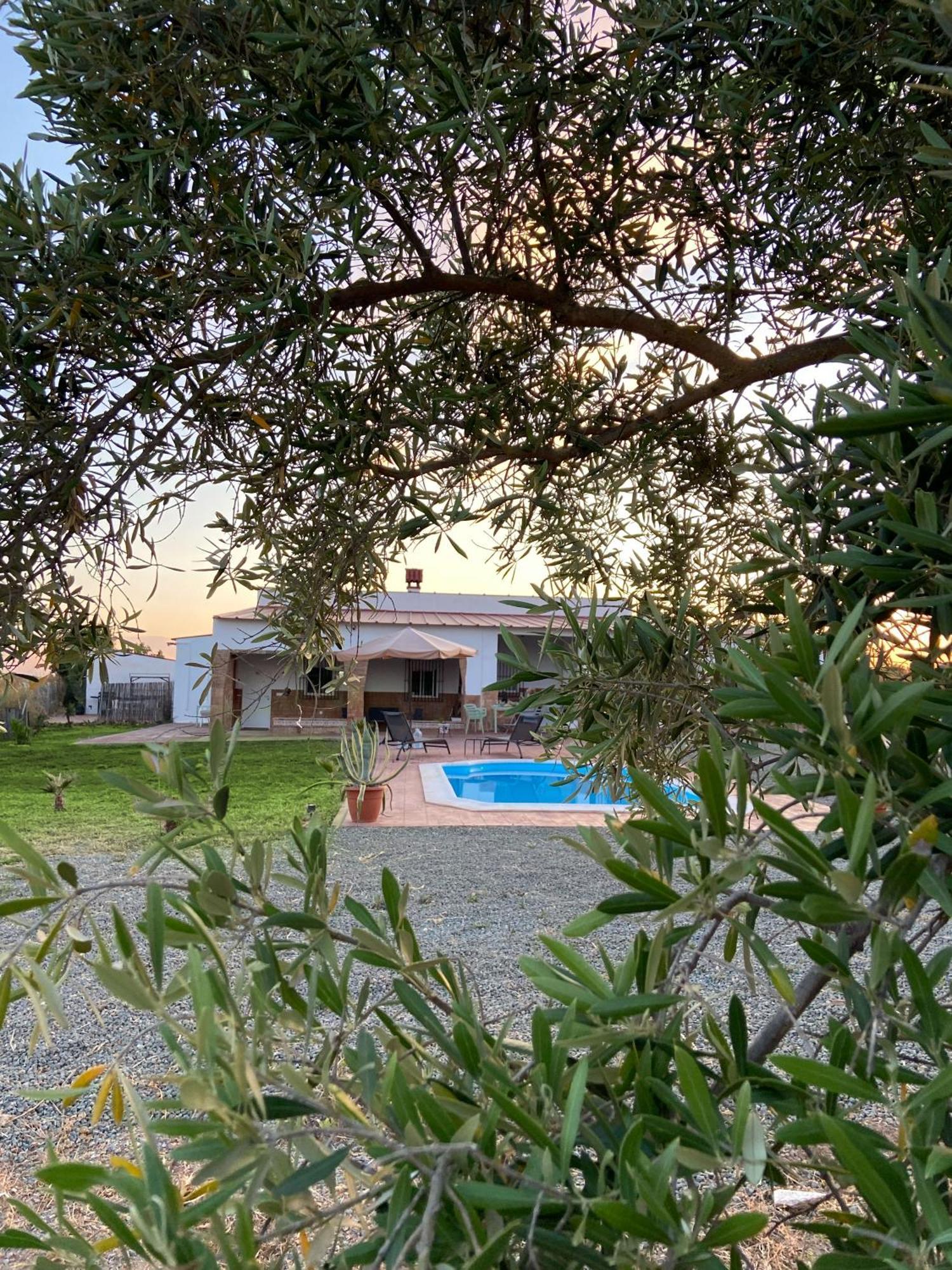 Hacienda Donaire Beas Appartement Buitenkant foto